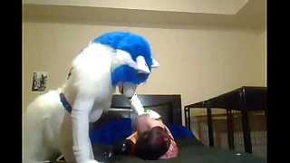 Furry gay sex